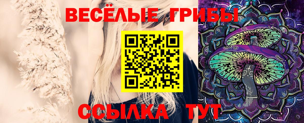 Галлюциногенные грибы MAGIC MUSHROOMS Троицк