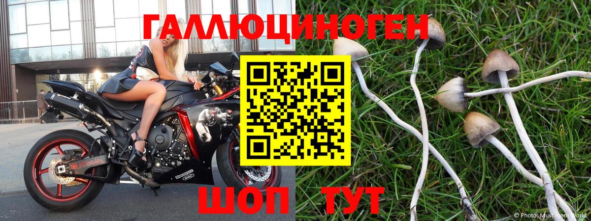 Псилоцибиновые грибы мицелий  Вход с VPN  Троицк 